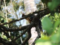 Tambopata Ecological Adventure 4 Days