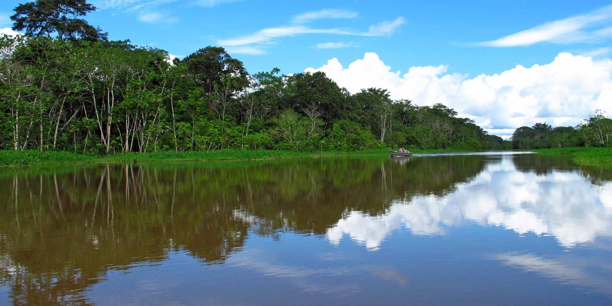 Tambopata Ecological Adventure 4 Days