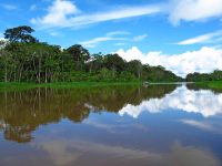 Tambopata Ecological Adventure 4 Days