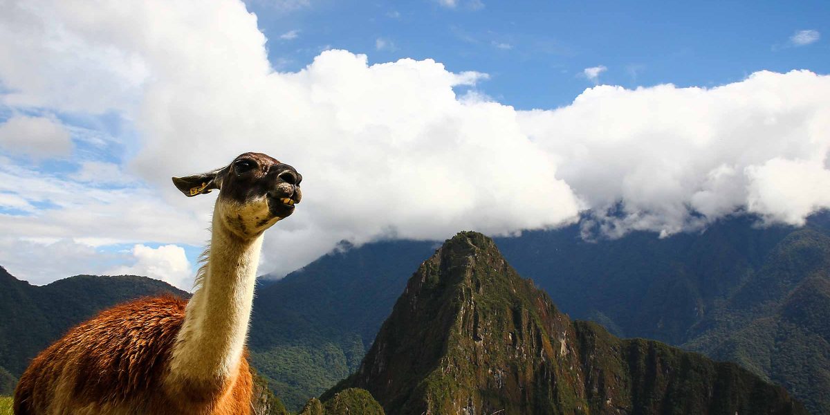 Machu Picchu Full day Tour