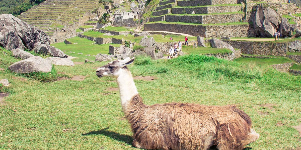 Machu Picchu Tour by Car