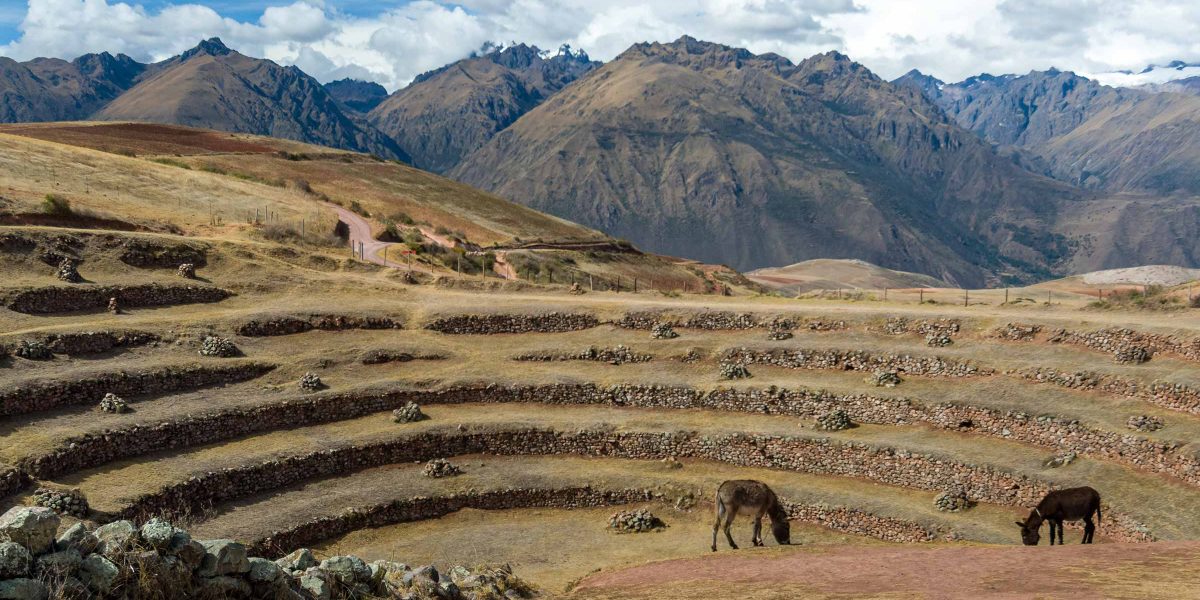 Tour of Moray and Maras Salt Mines