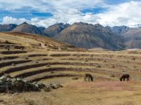 Tour of Moray and Maras Salt Mines